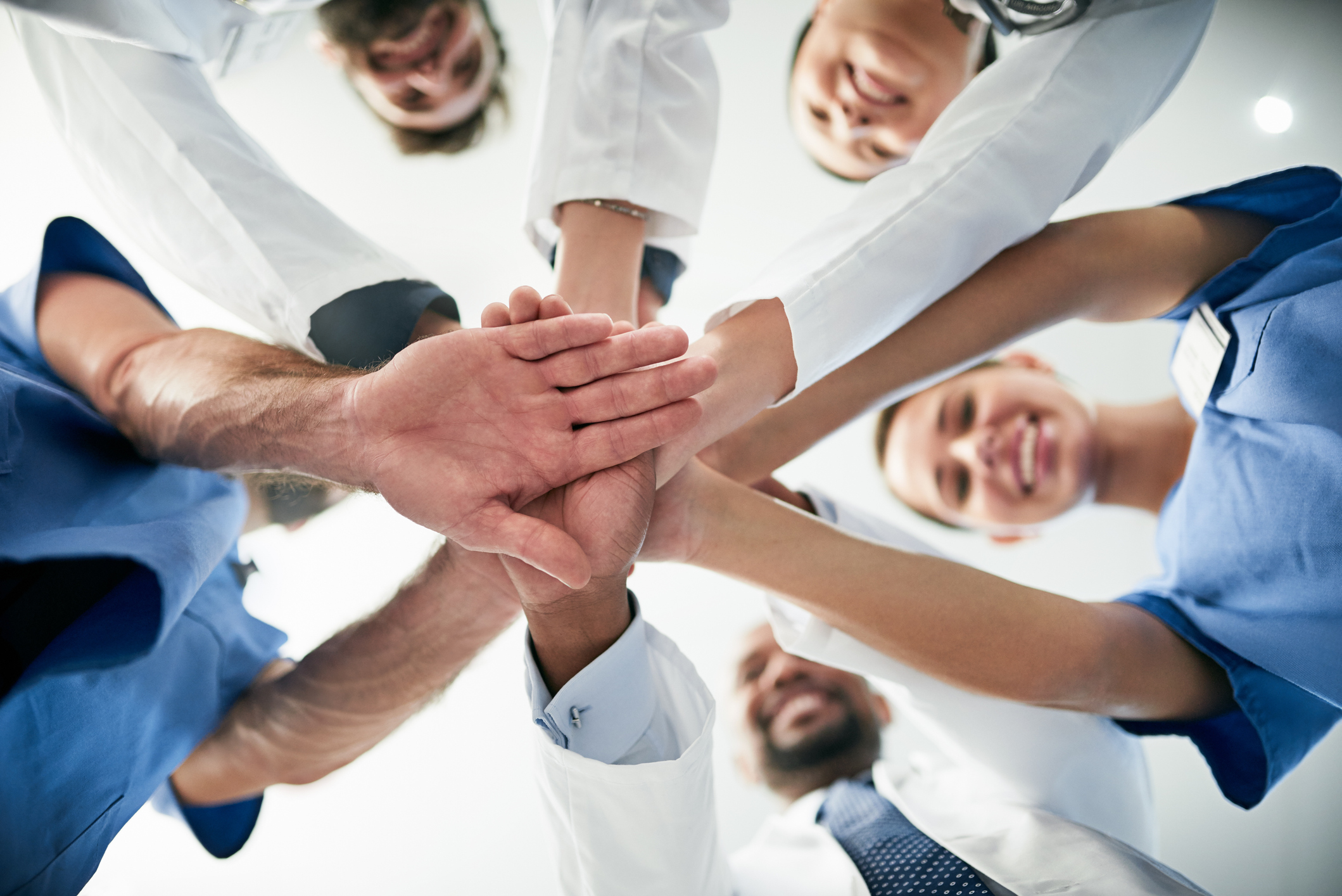 Wissenschaftliche Arbeitsgruppen - Titelbild