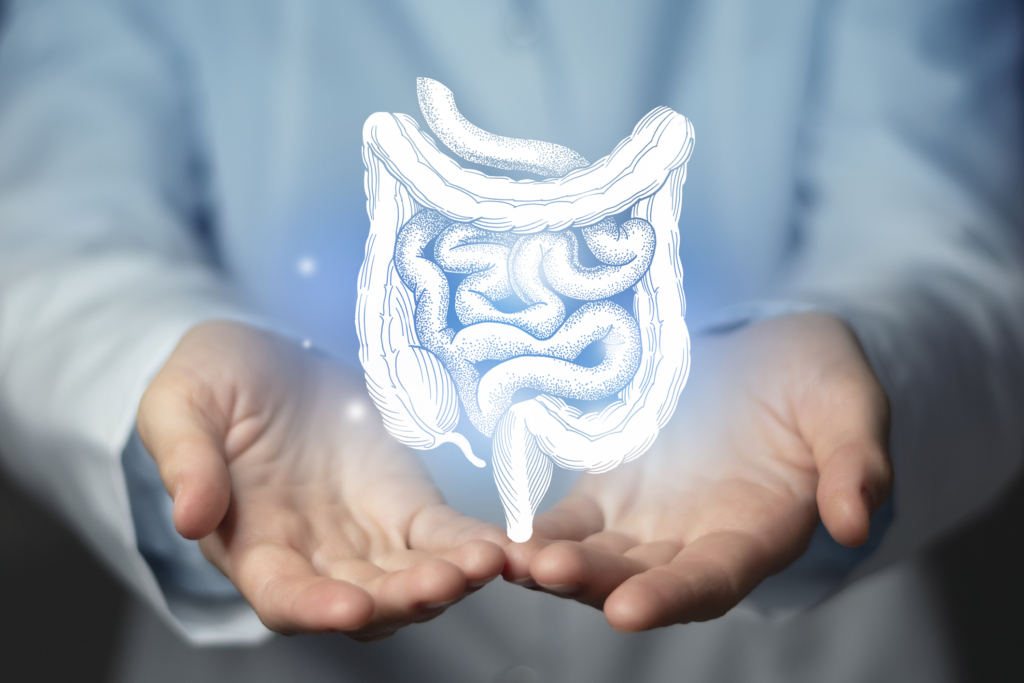 Das Bild zeigt zwei ge&ouml;ffnete, nach oben gerichtete H&auml;nde, &uuml;ber denen eine wei&szlig;e, stilisierte Illustration des menschlichen Darms schwebt. Der Hintergrund ist weich verschwommen und in k&uuml;hlen Blaut&ouml;nen gehalten, wodurch die grafische Darstellung des Dick- und D&uuml;nndarms im Zentrum hervorgehoben wird. Die Szene vermittelt symbolisch Schutz, F&uuml;rsorge und medizinische Aufmerksamkeit f&uuml;r die Gesundheit des Verdauungssystems.