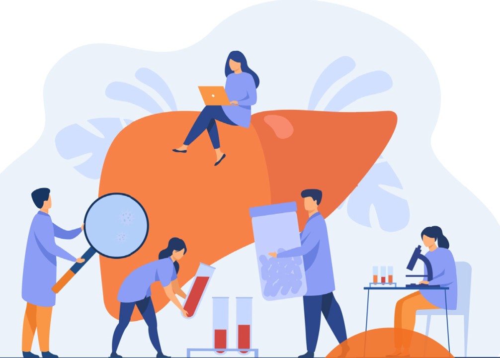 29.04.2026 - Die Leber im Blick - Titelbild